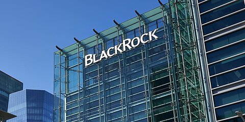 THE BLACKROCK CONSPIRACY