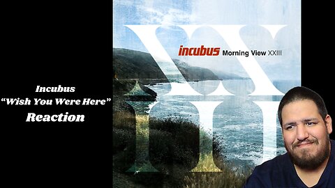 Incubus - Wish You Were Here 2002 | Music Reaction
