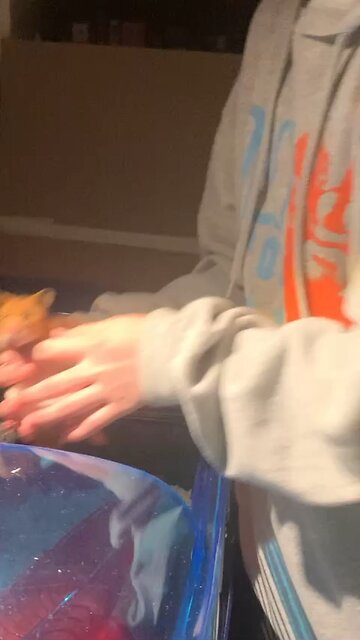 Adorable moment me giving my hamster a hug
