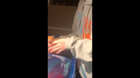 Adorable moment me giving my hamster a hug