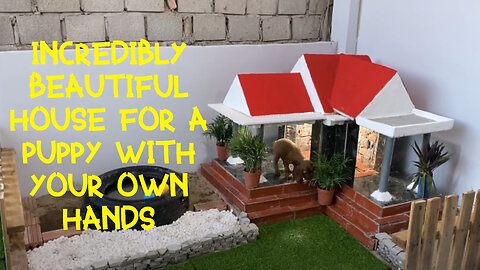 INCREDIBLY BEAUTIFUL HOUSE FOR A PUPPY WITH YOUR OWN HANDS