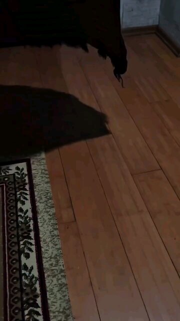 We need to search for the righ path.Islam is the right way #islamic #islam #quran #muslims #القران