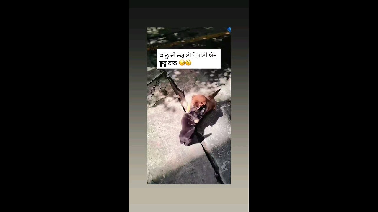 कौन से जन्म की दुश्मनी है