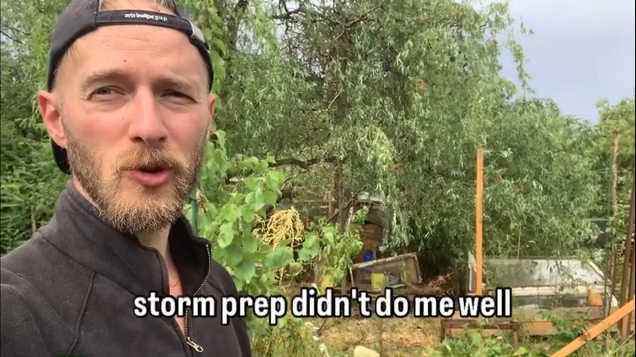 Big storm hits Hungary! Dealing with the aftermath.