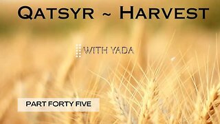 Qatsyr ~ Harvest Part Forty~Five 31 May 2025