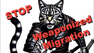 Its not just "immigration" its WEAPONIZED MIGRATION! The tactic and what to do against it explained.
