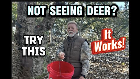 My Secret to Seeing DEER!