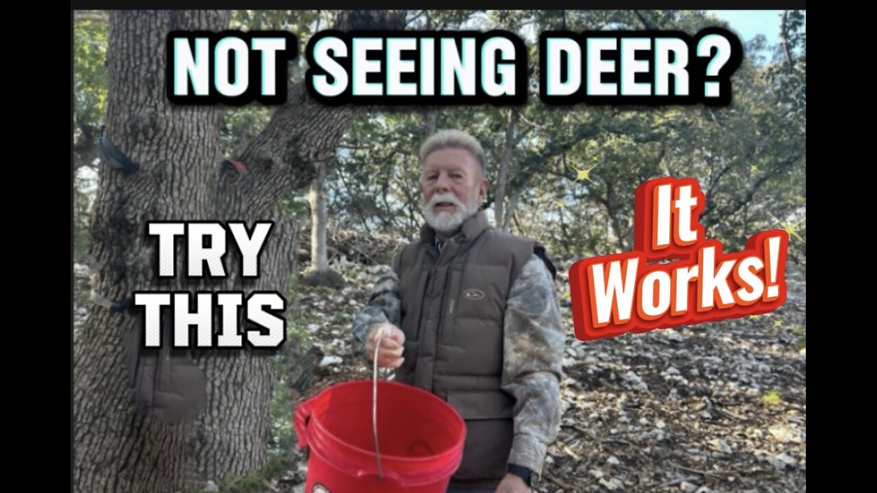 My Secret to Seeing DEER!