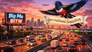 Big Mo BITW The Future International Latin Superstar: Big Mo Random Banter