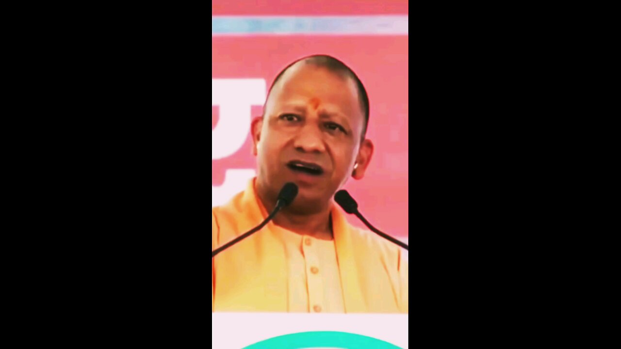 yogi spich