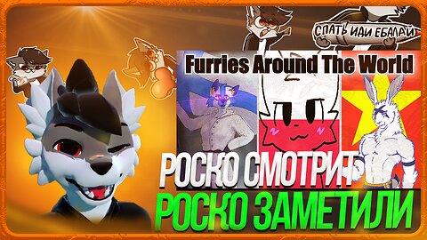 🐺 Роско смотрит BoGustav - Furries in different countries explained