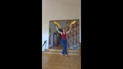 Dancing with fans by Diane Valanga