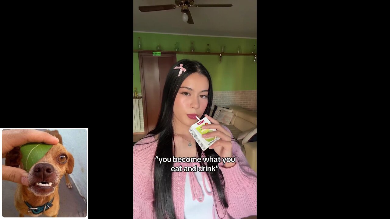 Funny videos compilation 29