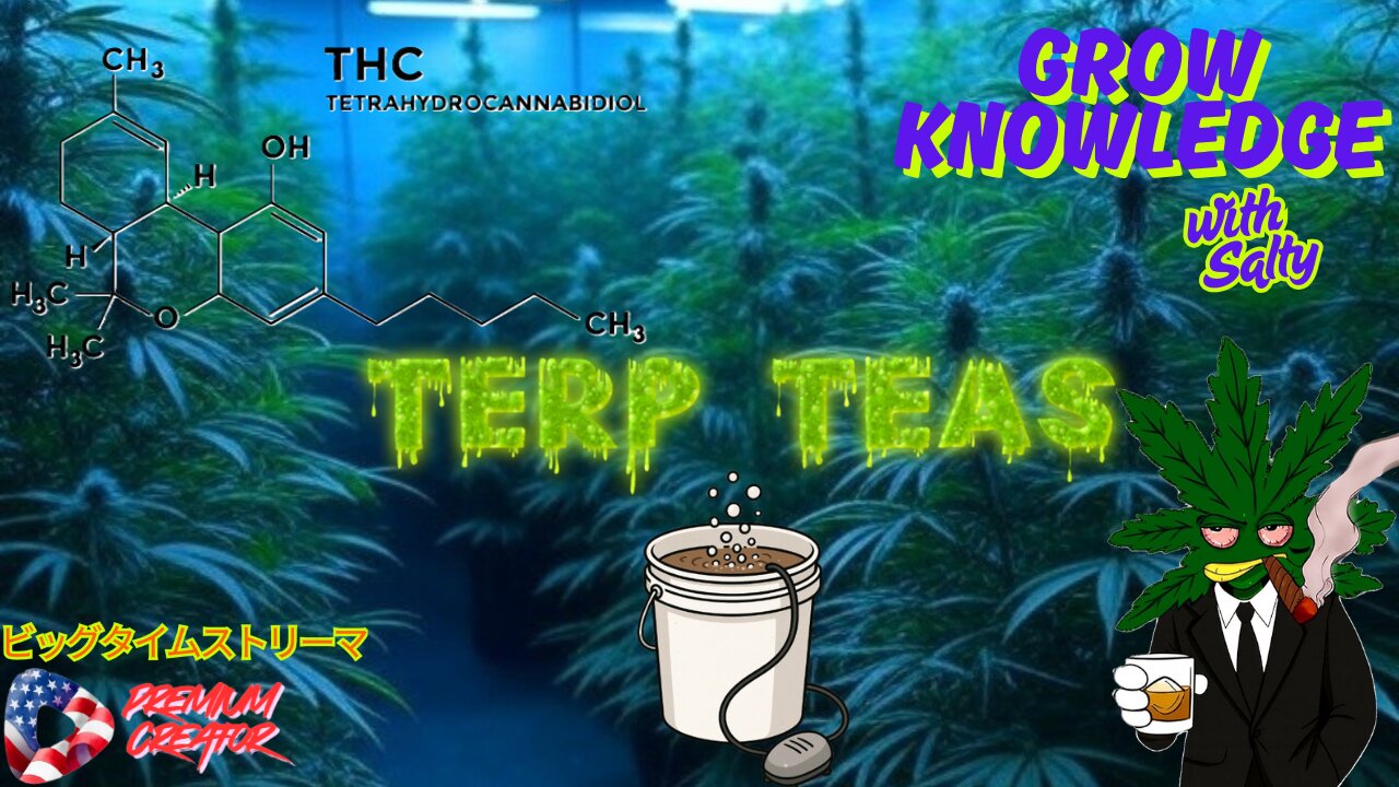 [PrEeEmium Creator] Grow Knowledge with Salty!