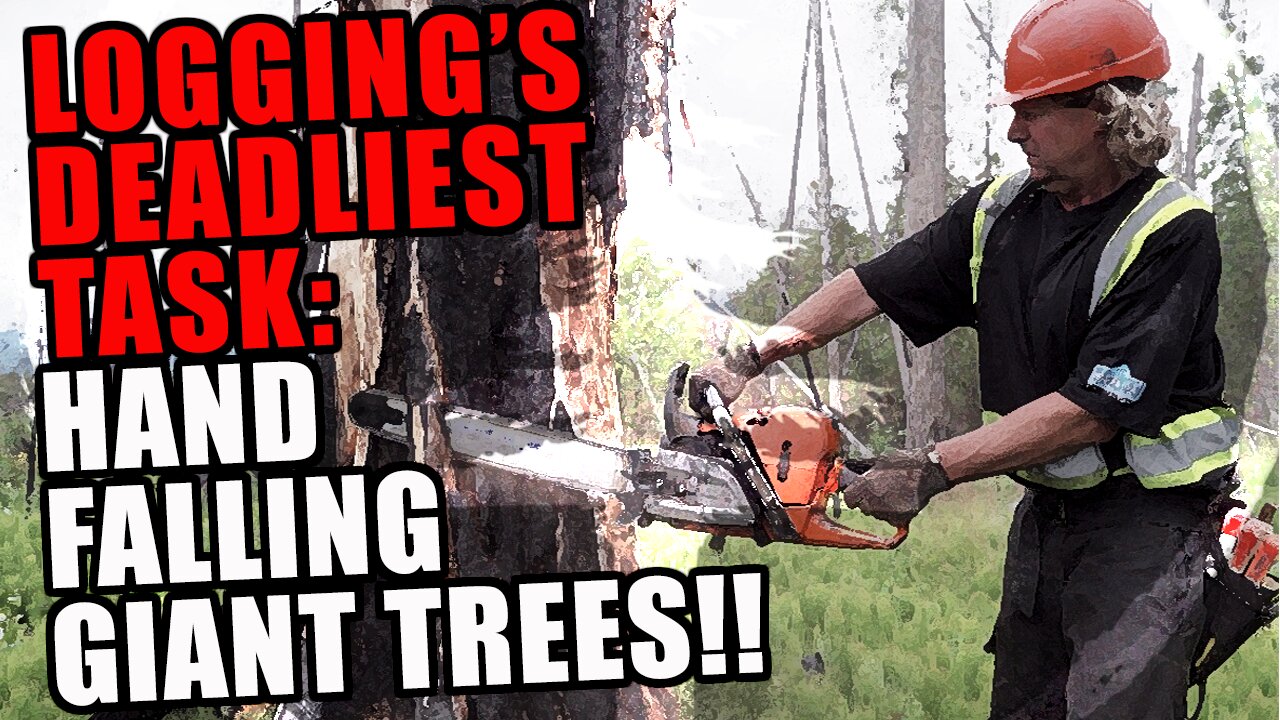 DEATH FROM ABOVE: Brent Goes Hand Falling To Drop Dozens of Deadly GIANT Cottonwood Trees! #logging