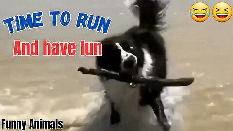 Time to run, and have fun