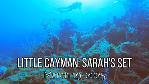 Little Cayman - Sarah's Set - March 19, 025