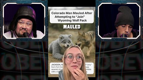 🚨Man WOLF FURRY joins REAL Wolf PACK and gets MAULED🚨