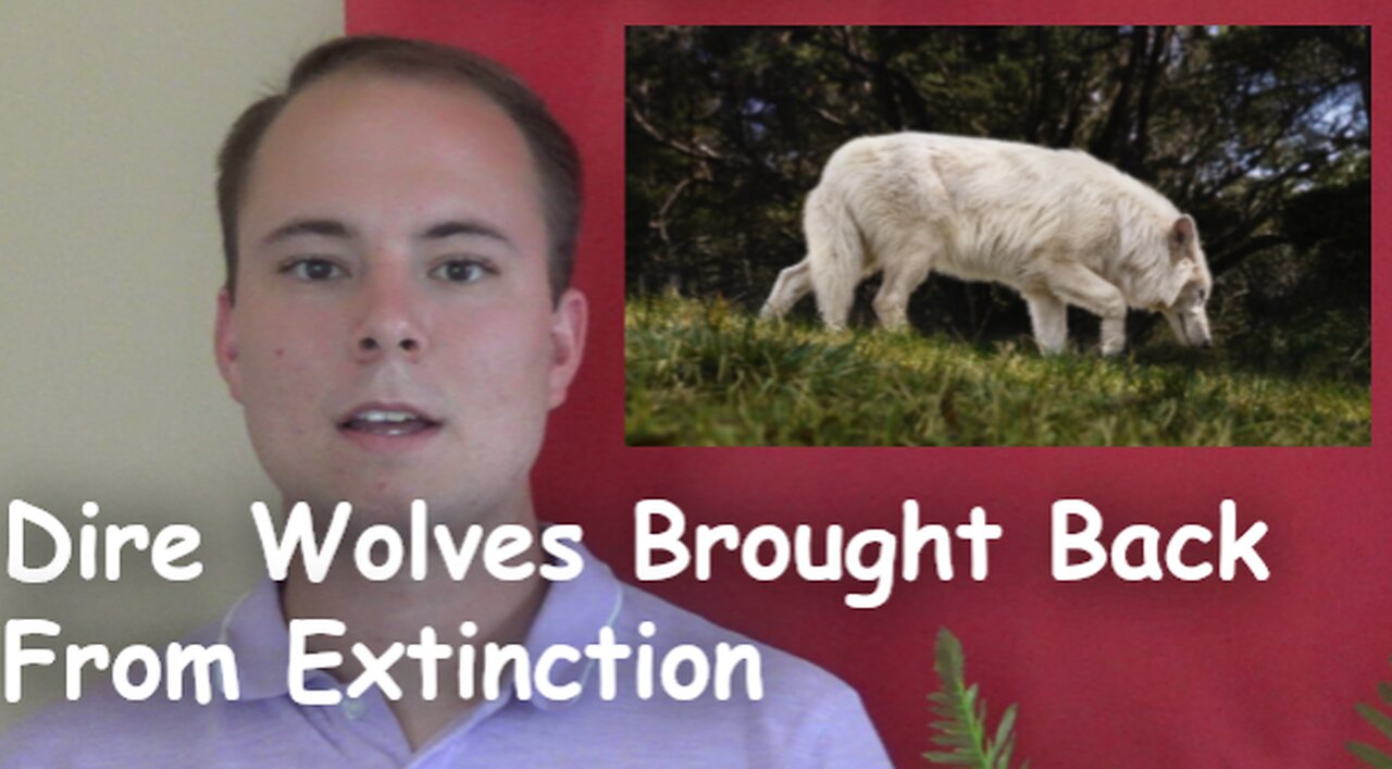Dire Wolves Brought Back From Extinction
