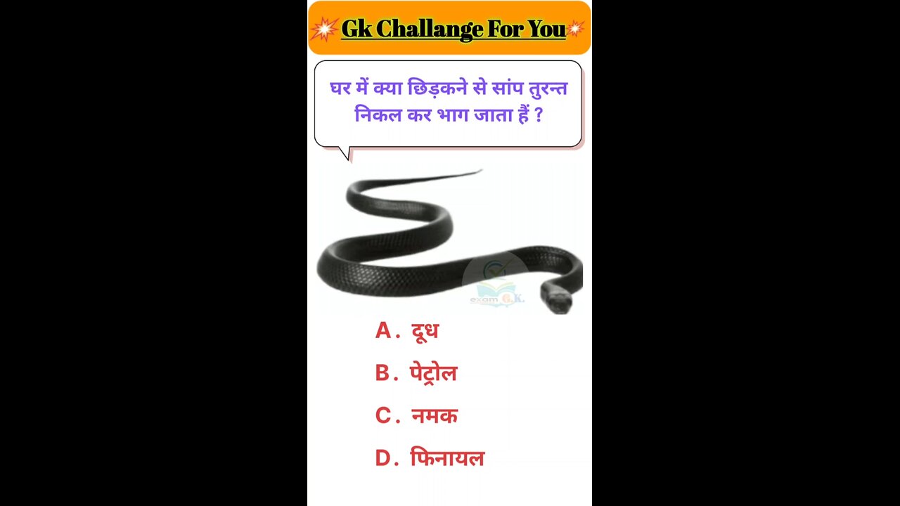 Can You Answer These Simple General Knowledge Questions?"