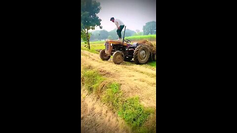 satisfying Video