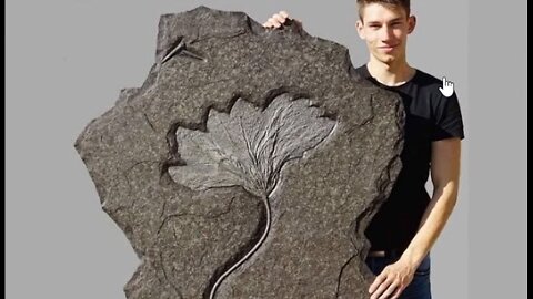 Fossil Lillies on FB