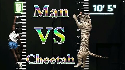 Man and leopard jumping competition