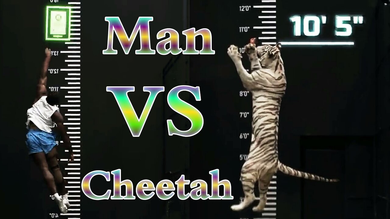 Man and leopard jumping competition