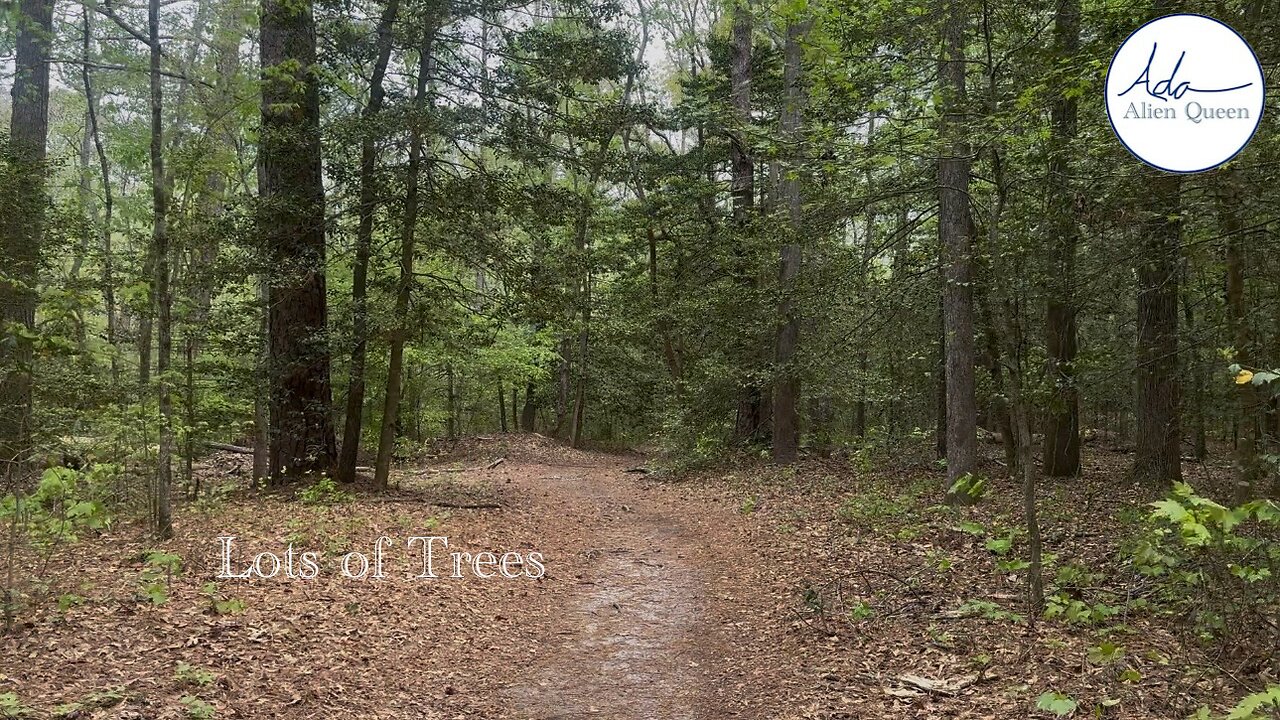 Ada Alien Queen • Ada Walks • Take # 00006 • Lots of Trees