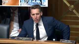 Senator Hawley Questions MN State Senator Who Shares Protests Are 'HIGHLY ORGANIZED AND COORDINATED'