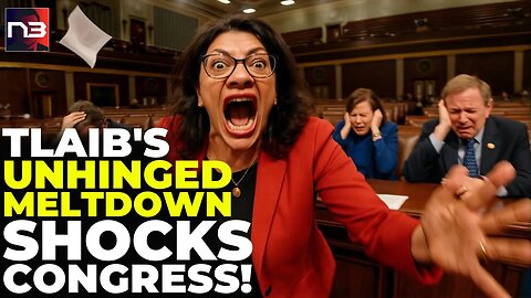 Just In: Rashida Tlaib Calls Byron 'THIRD REICH' - His Response Made Her SCREAM Even Louder! 