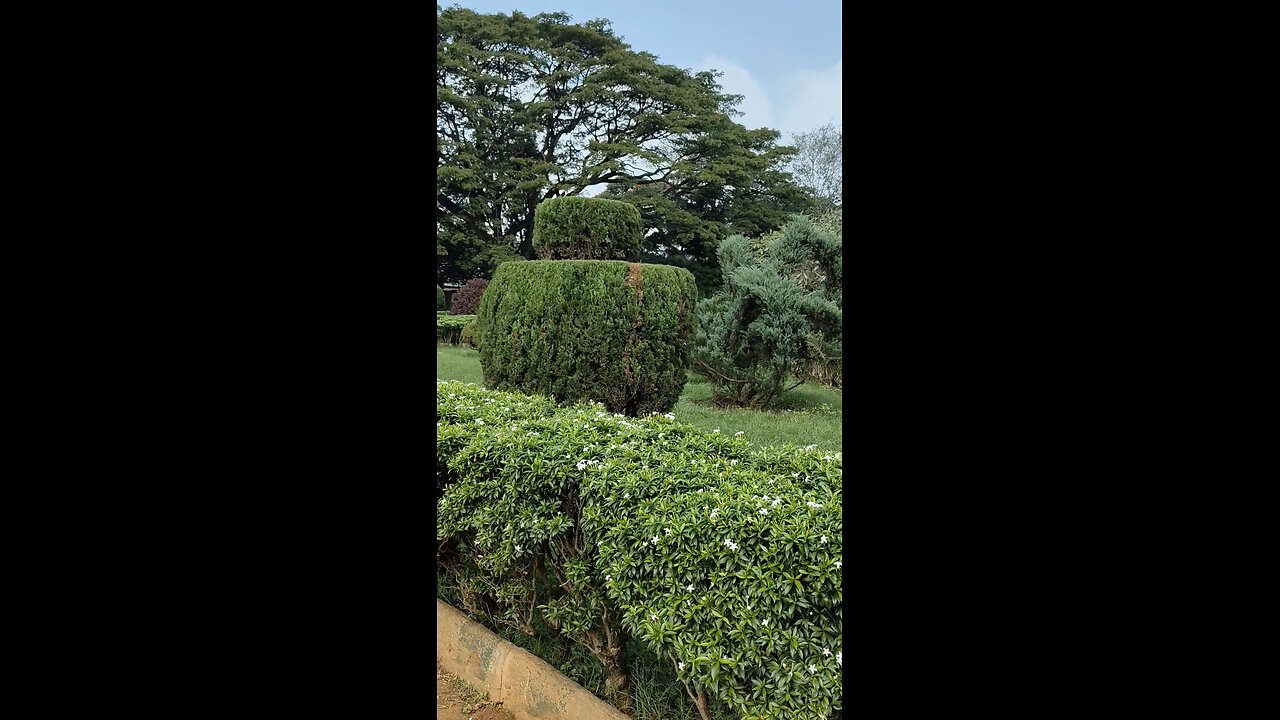 My garden 💚💚💚