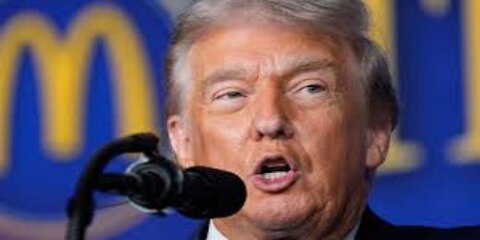 Trump Pushes Hollywood Mogul to Revive 1990s Action Franchise Report