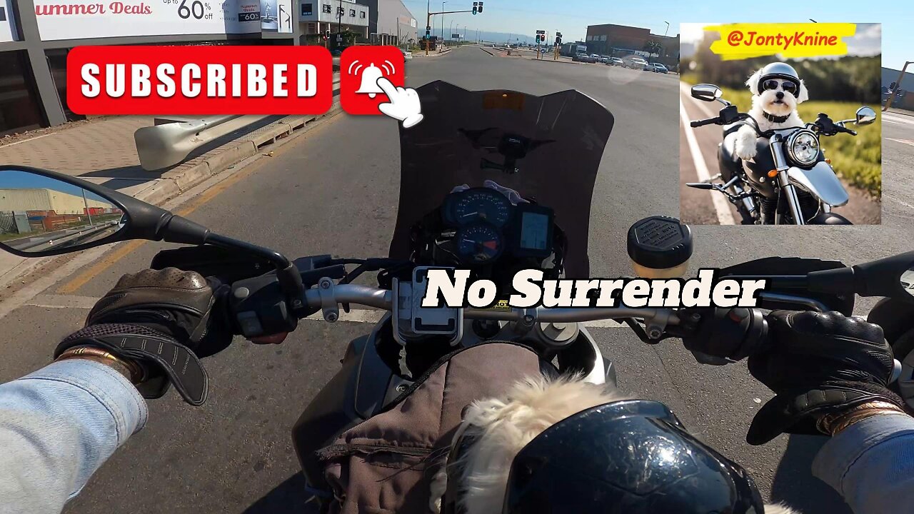 No surrender #music #jontyknine #bikerdog #durban