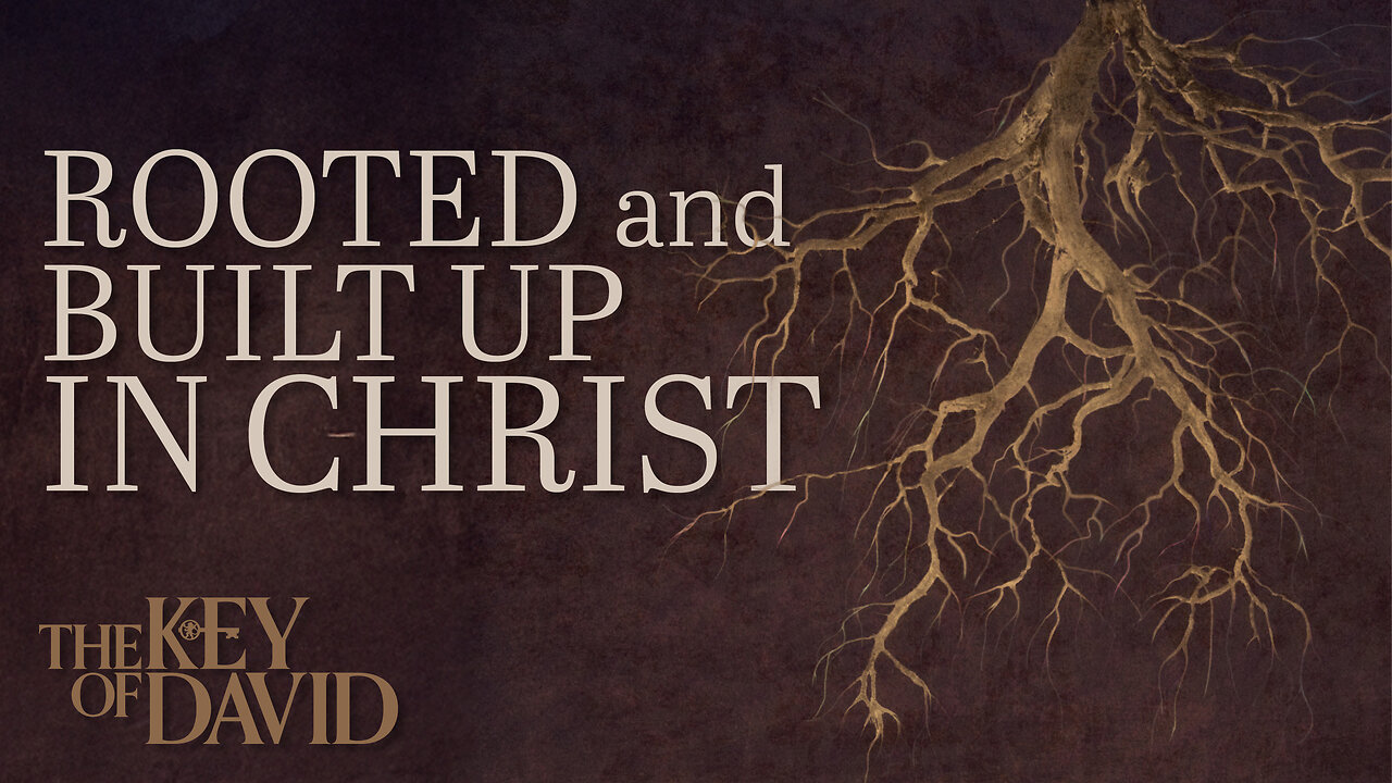 Rooted and Built Up in Christ