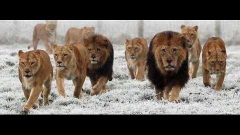 FORGET What WAS: The LORD IS DOING A NEW Thing