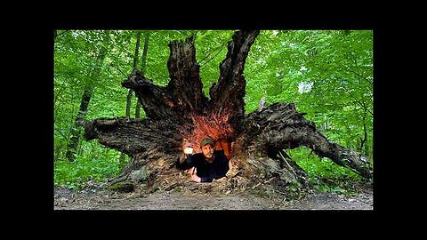 Building a Secret Dugout Inside a Hollow Tree - Bushcraft Shelter