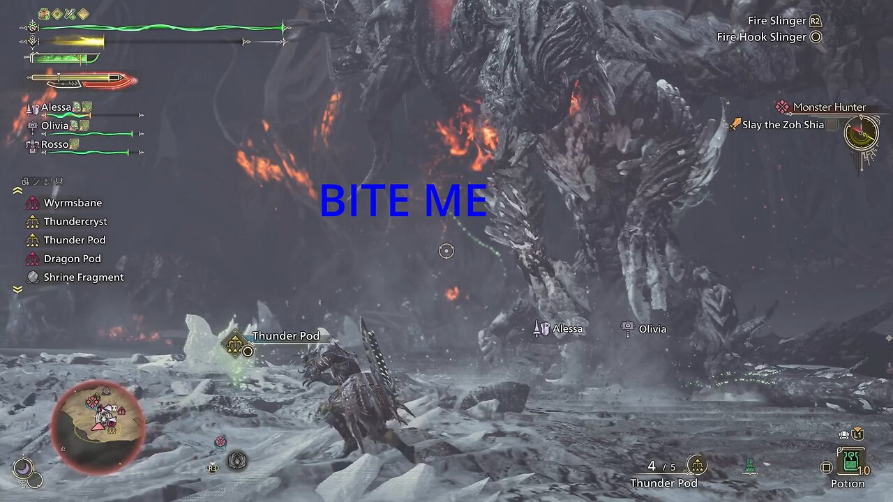 Monster Hunter Wilds Just SHOOT THEM!!