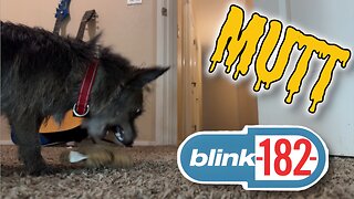 Don't be a Mutt | Blink 182 cover