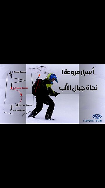 Alpine Avalanche: Survivor Secrets What They Don't Tell You