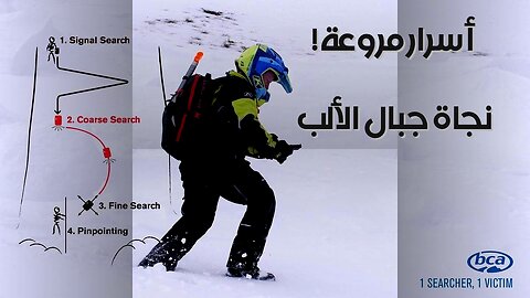 Alpine Avalanche: Survivor Secrets What They Don't Tell You