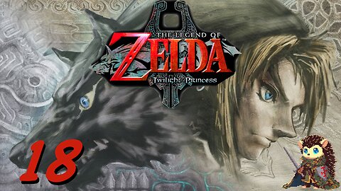 Skull Kid's Game - The Legend of Zelda: Twilight Princess GameCube [18]