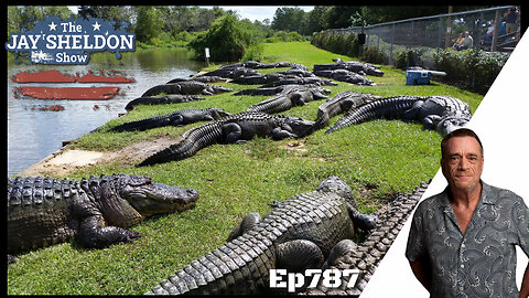 Alligator Alcatraz