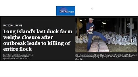 "Unveiling the Truth: The Bird Flu Hoax’s Impact on Duck Farms & Chicken Industries"
