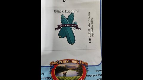 BLACK ZUCCHINI