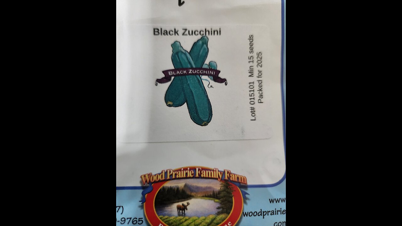 BLACK ZUCCHINI
