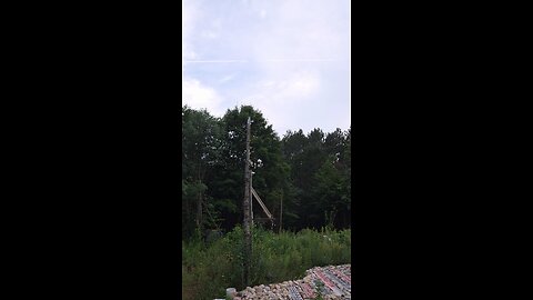 : PART-~7, MILITARY-COMMS: ~11TH,~AUGUST ~2025.
