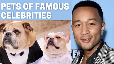10 Famous Pets From Famous Celebrities