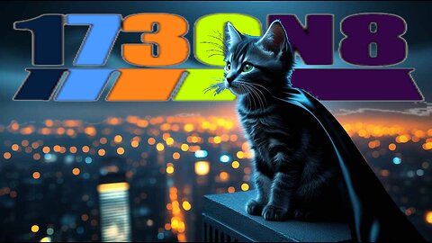 BatCat: Dark Mice Rises...