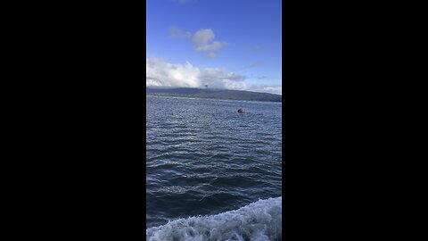 Weird things you find at sea